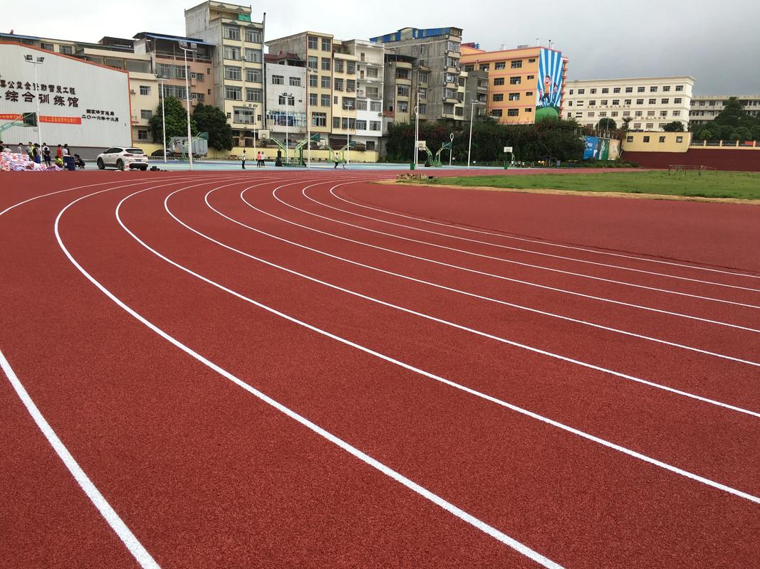 崇左市塑胶跑道塑胶跑道材料 - 排名